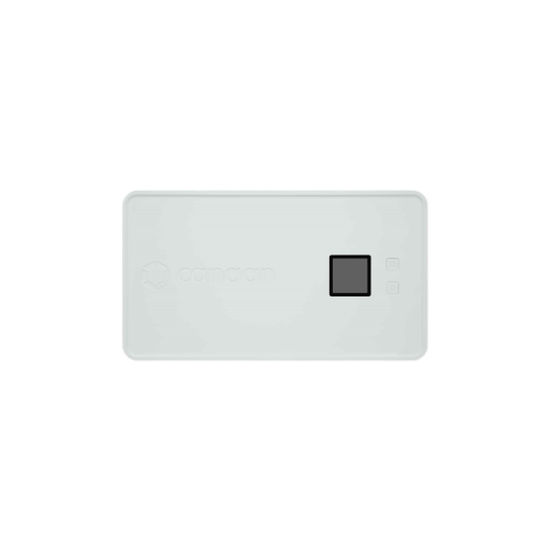 Canaan Avalon Nano 3 BTC miner