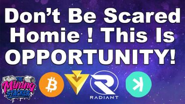 GPU Mining Is Dead ? Or Is This Another Opportunity For Massive Gains ? Mining / Buying Strategies
