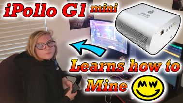 iPollo G1 Mini Grin Miner - #Crypto #Mining Family