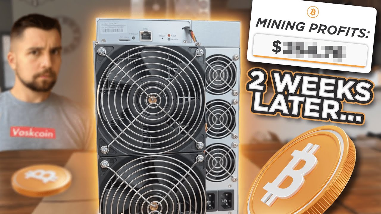 2 Weeks Later - Is It Worth Mining Bitcoin with the Bitmain Antminer S19?