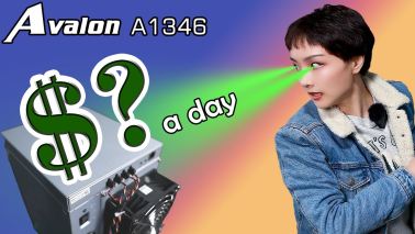 How much does Canaan Avalon A1346 make for you per day?