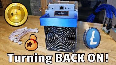 Antminer L3+ is Profitable Again!? Triple Merge Mining LTC, Dogecoin & Bellscoin